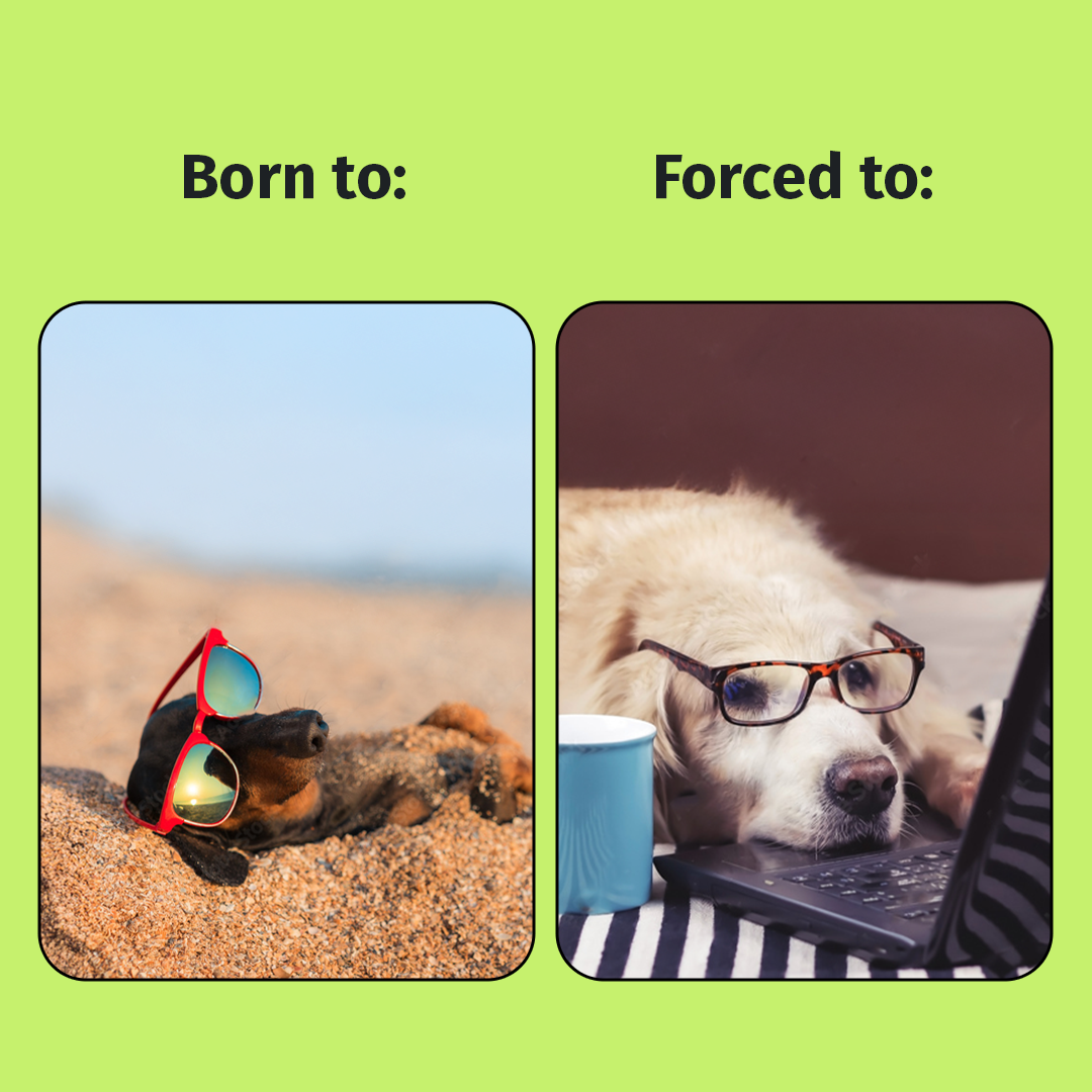 XING — Born to Forced to